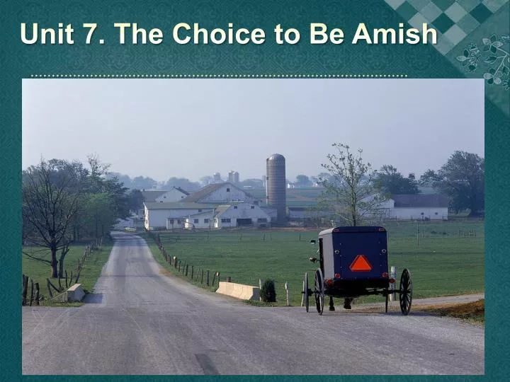 unit 7 the choice to be amish