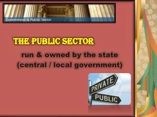 THE PUBLIC SECTOR