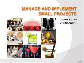 MANAGE AND IMPLEMENT SMALL PROJECTS