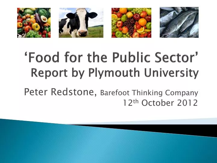food for the public sector report by plymouth university