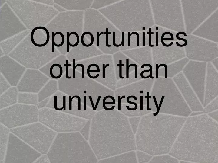 opportunities other than university