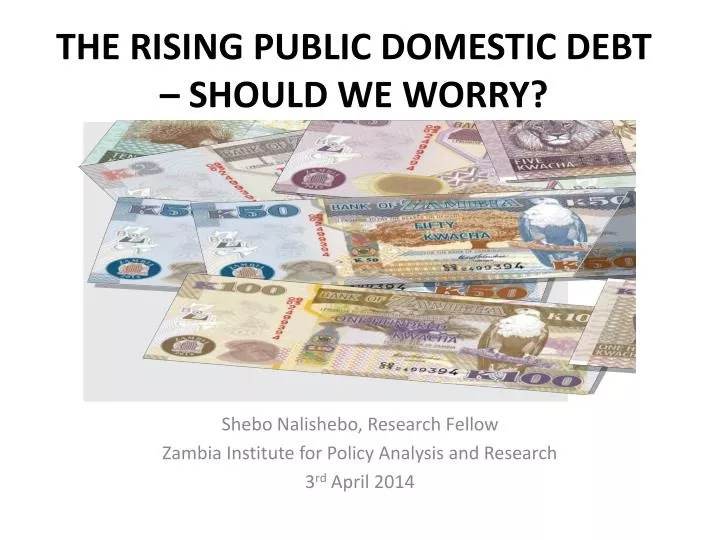 the rising public domestic debt should we worry