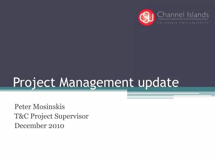 project management update