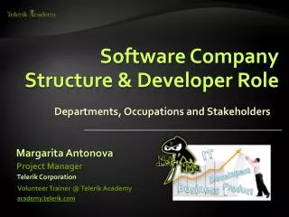 Software Company Structure &amp; Developer Role