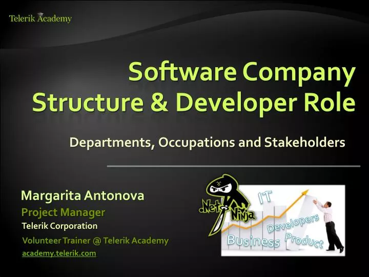 software company structure developer role