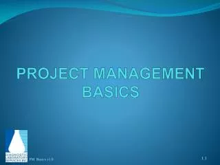 PROJECT MANAGEMENT BASICS