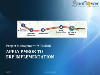 Apply Pmbok to erp implementation