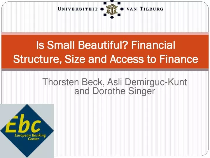 is small beautiful financial structure size and access to finance