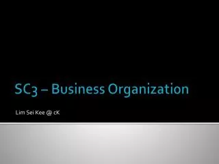 SC3 – Business Organization
