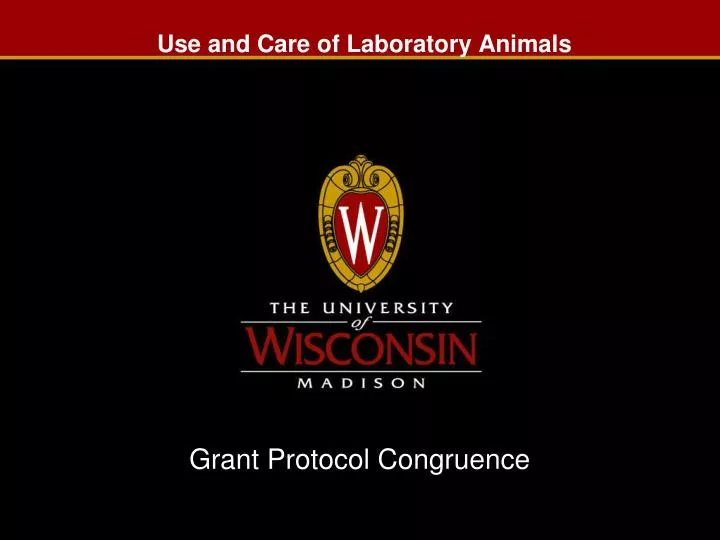 use and care of laboratory animals