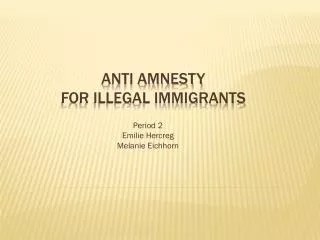 Anti Amnesty for illegal immigrants