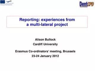 Reporting: experiences from a multi-lateral project