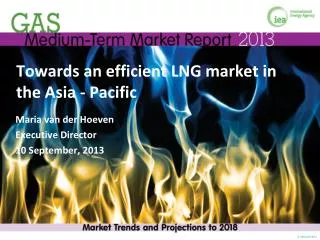 Towards an efficient LNG market in the Asia - Pacific