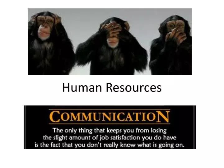human resources
