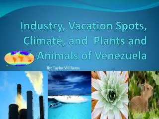 Industry, Vacation Spots, Climate, and Plants and Animals of Venezuela
