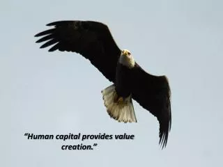 “Human capital provides value creation.”