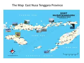 The Map East Nusa Tenggara Province