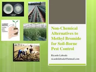 Non-Chemical Alternatives to Methyl Bromide for Soil-Borne Pest Control