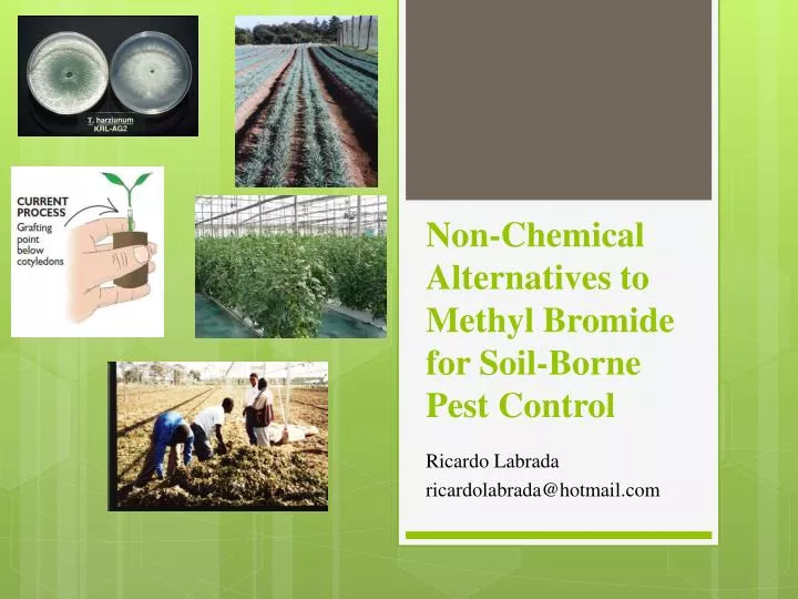 non chemical alternatives to methyl bromide for soil borne pest control