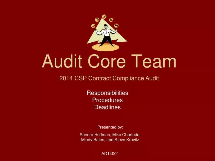 audit core team