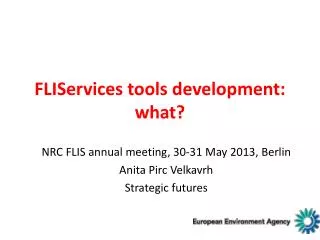 FLIServices tools development: what?