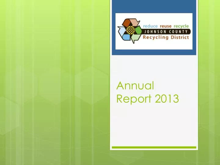 annual report 2013