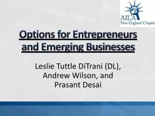 Options for Entrepreneurs and Emerging Businesses