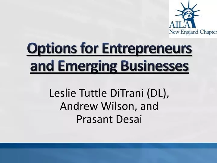 options for entrepreneurs and emerging businesses