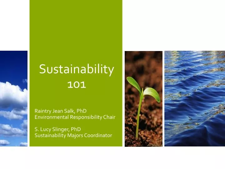 sustainability 101