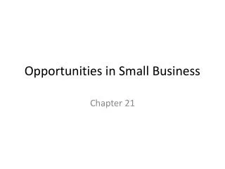 Opportunities in Small Business