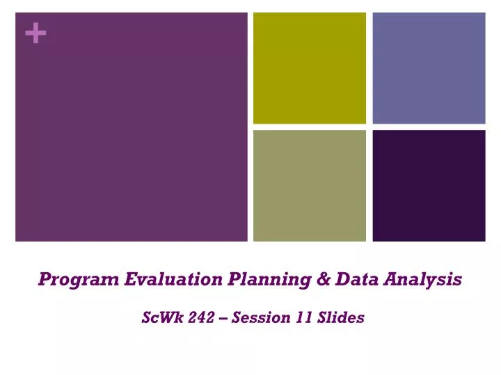 program evaluation planning data analysis