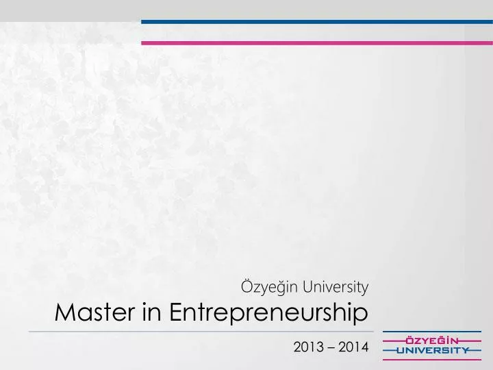 zye in university master in entrepreneurship