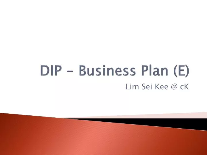 dip business plan e