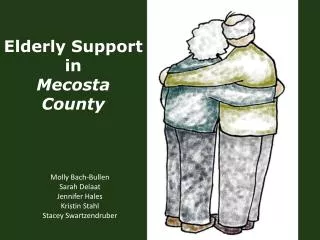 Elderly Support in Mecosta County
