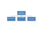 Sole proprietorships - slide 1