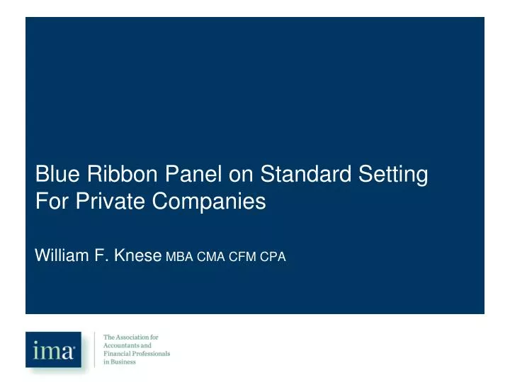 blue ribbon panel on standard setting for private companies