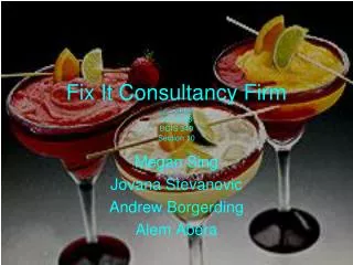 Fix It Consultancy Firm La Casita 12-10-08 BCIS 340 Section 10