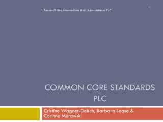 Common Core Standards PLC