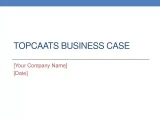 TopCAATs Business Case