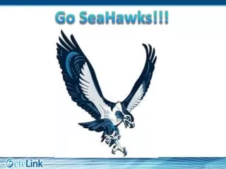 Go SeaHawks!!!
