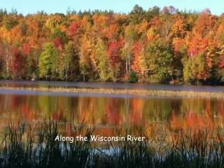 Along the Wisconsin River