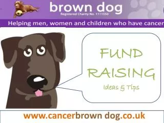 www.cancer brown dog .co.uk