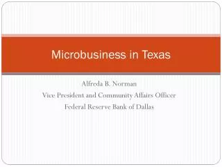 Microbusiness in Texas