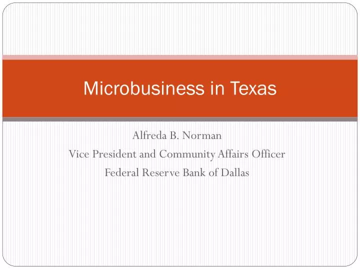 microbusiness in texas