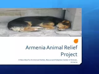 Armenia Animal Relief Project