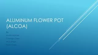 Aluminum Flower pot ( alcoa )