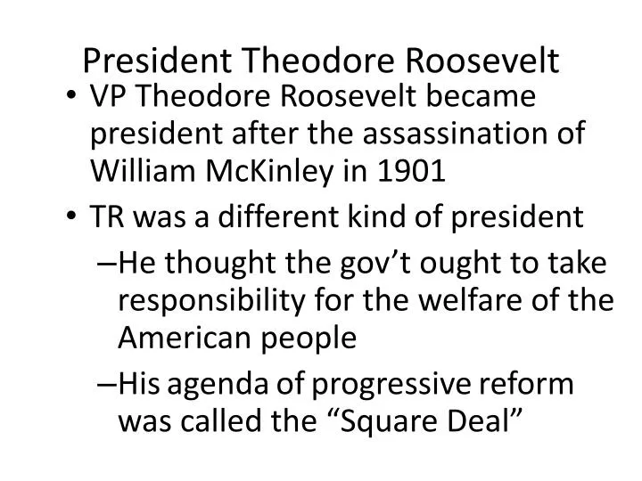 president theodore roosevelt
