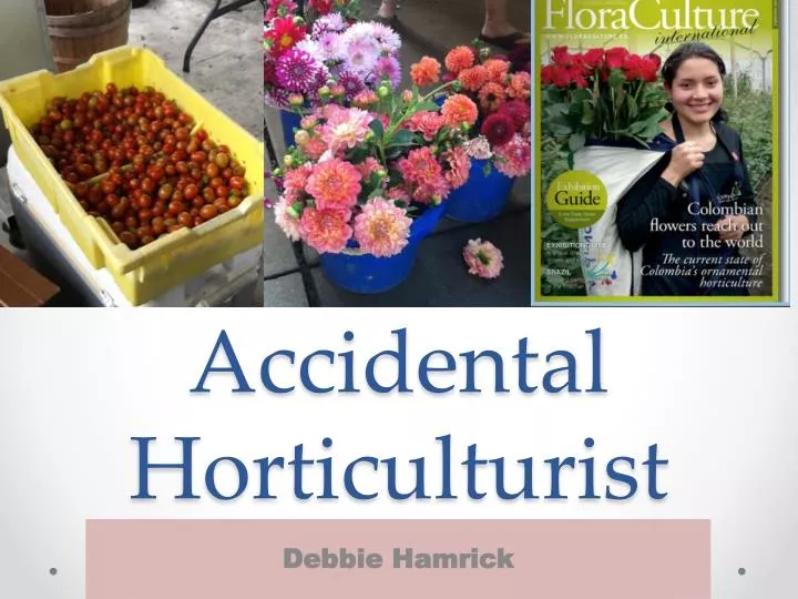 accidental horticulturist