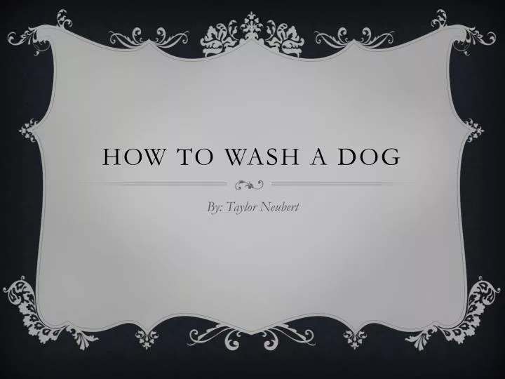 how to wash a dog
