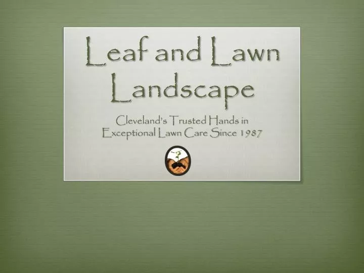 leaf and lawn landscape